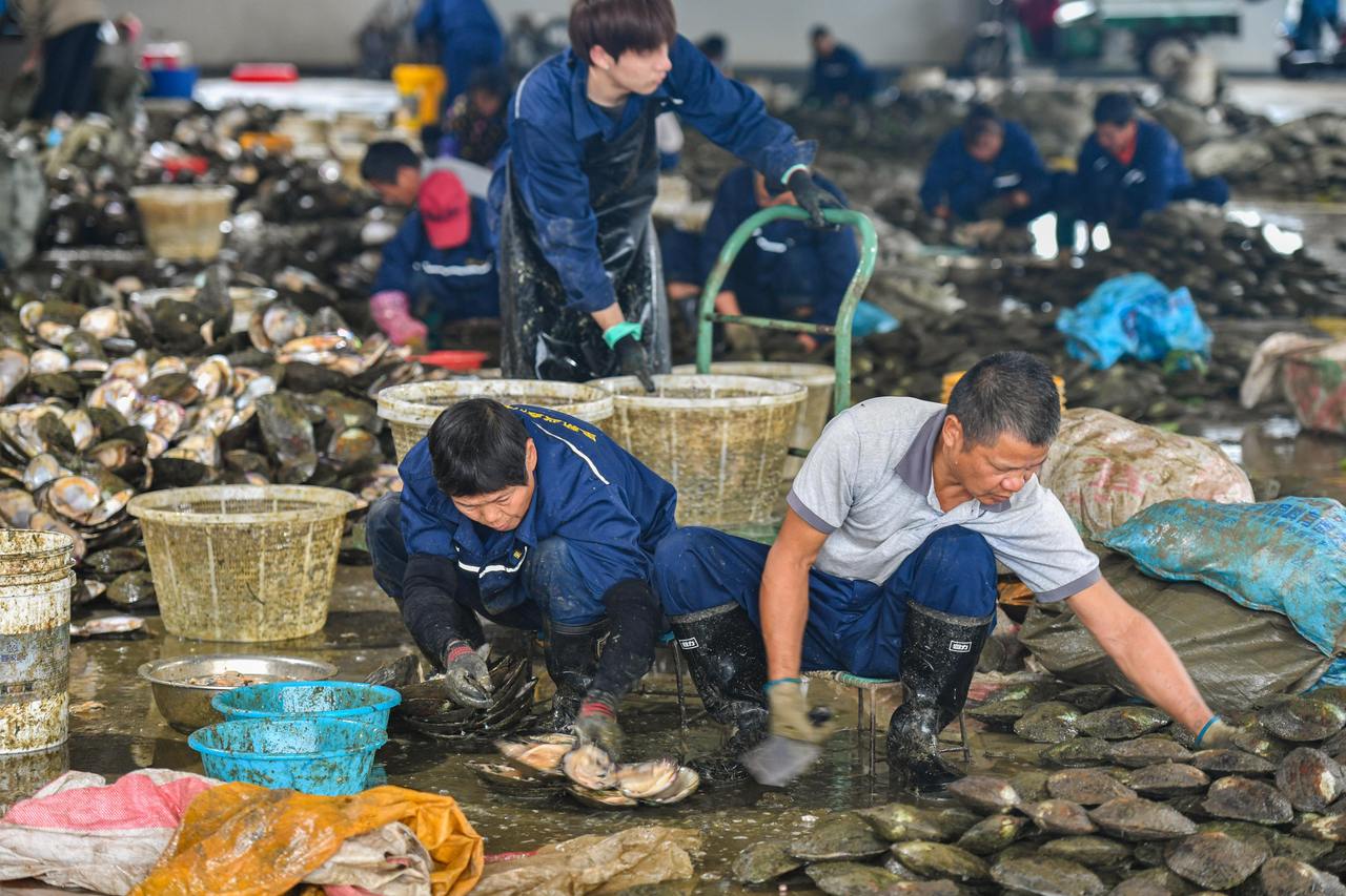 小珍珠“串”起富民鏈
